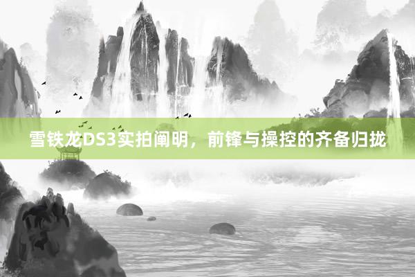 雪铁龙DS3实拍阐明，前锋与操控的齐备归拢